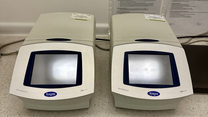 lab